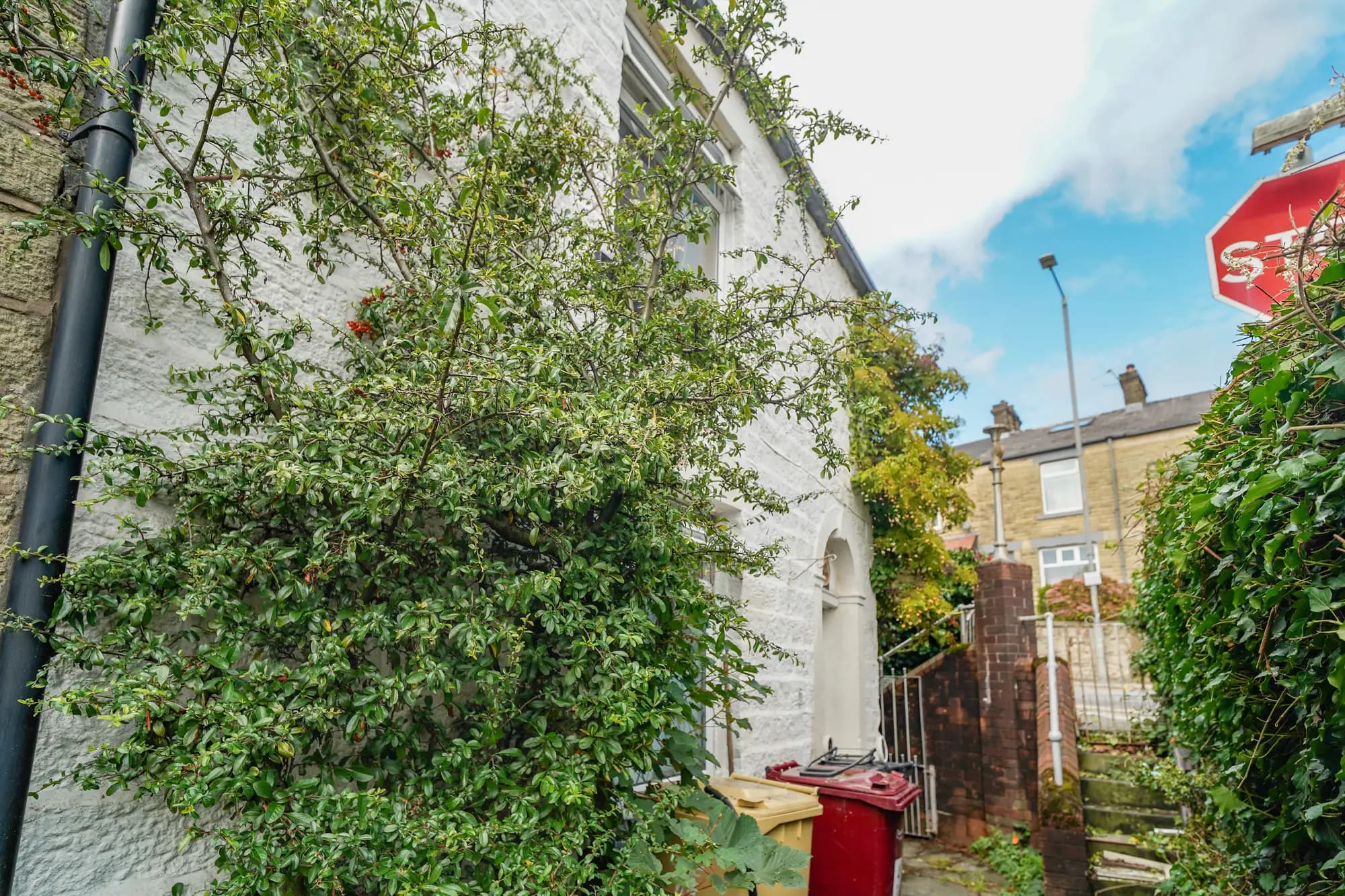 property photo 24 of 27