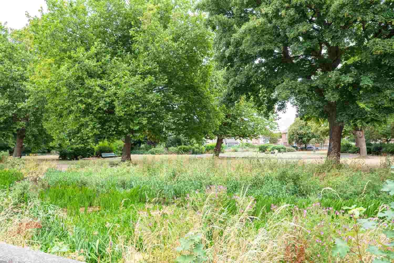 property photo 6 of 6