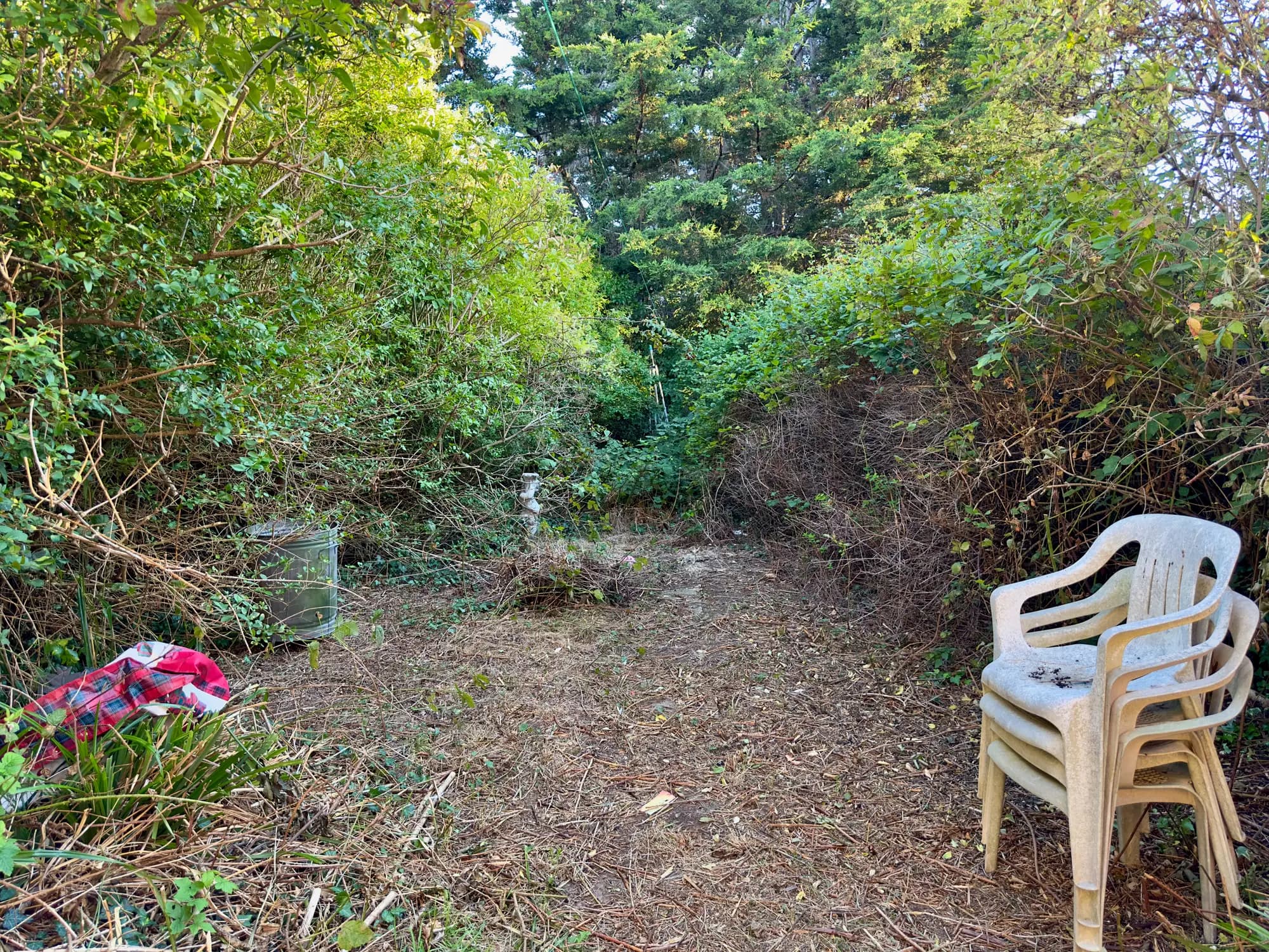 property photo 24 of 25